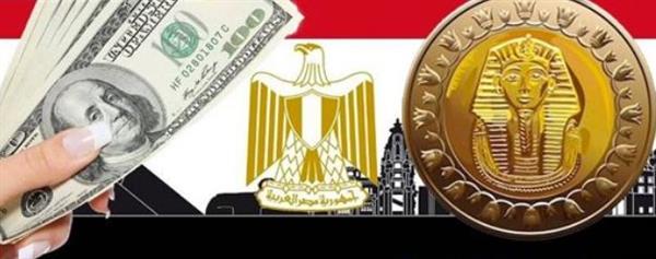 المؤسسات الدولية تشيد بمرونة سعر الصرف