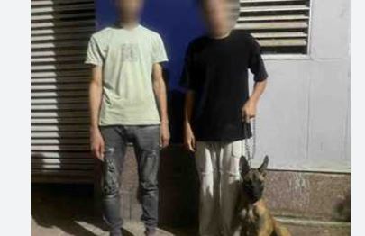 كشف ملابسات مقطع فيديو يتضمن الاعتداء على شخص بكلب وسلاح أبيض بالإسكندرية