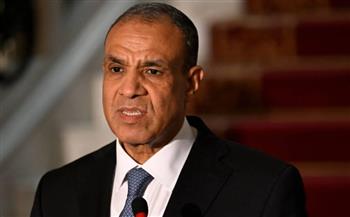   وزير الخارجية: إسرائيل ترفض دخول مساعدات إنسانية إلى غزة بمبررات واهية