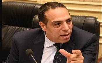   الصافي عبد العال: مصر تلعب دورا بارزا وتقود جهودا دبلوماسية كبيرة لإنهاء الحرب