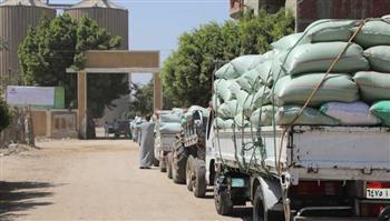 توريد أكثر من 283 ألف طن قمح بصوامع بني سويف منذ بداية الموسم