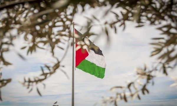 اجتماع طارئ لوزراء خارجية التعاون الإسلامي الاثنين لبحث عدوان غزة