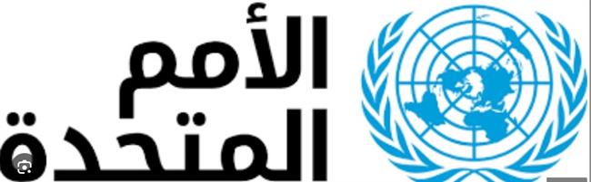 الأمم المتحدة في ليبيا تدعو جميع الأطراف إلى قبول نتائج الانتخابات البلدية