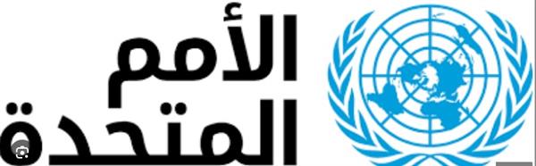 الأمم المتحدة في ليبيا تدعو جميع الأطراف إلى قبول نتائج الانتخابات البلدية