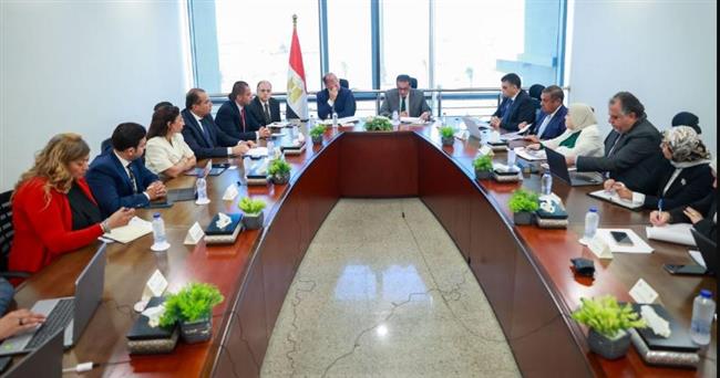 وزير الصحة يترأس الاجتماع التأسيسي الأول للجنة التنسيقية لنفاذ الدواء المصري للسوق العالمية 