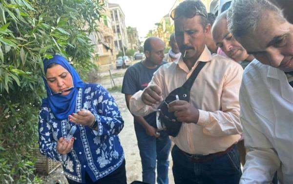 حملة مكبرة لتطعيم الكلاب الضالة ضد مرض السعار برأس البر