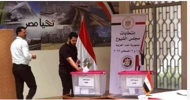 بدء تصويت المصريين بفرنسا في جولة الإعادة بانتخابات مجلس الشيوخ