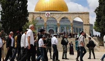   عشرات المستوطنين الإسرائيليين يقتحمون المسجد الأقصى بالقدس الشرقية المحتلة