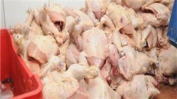  ضبط طنين من الدواجن الفاسدة قبل بيعها في أسواق القليوبية