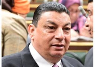   نصر الله: إقبال المصريين بالخارج على انتخابات الشيوخ رسالة قوية تعكس الوعي الوطني