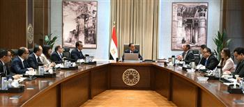   رئيس الوزراء يتابع جهود دعم صناعة الدواء في السوق المصرية ومؤشرات تطورها