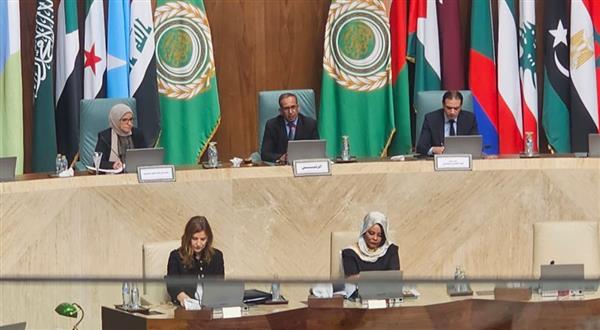 اللجنة الاجتماعية تبحث دعم فلسطين وإنشاء الوكالة العربية للدواء
