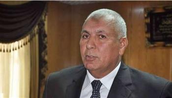   محافظ الوادي الجديد: انتظام لجان انتخابات الشيوخ وإقبال كثيف من المواطنين 