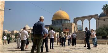   50 مستوطنا يقتحمون قرية فلسطينية شمال أريحا شرق الضفة الغربية