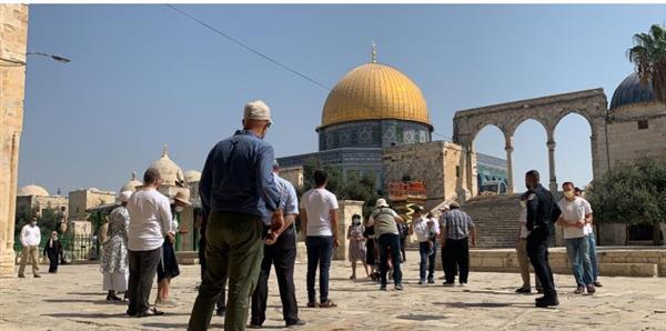 50 مستوطنا يقتحمون قرية فلسطينية شمال أريحا شرق الضفة الغربية