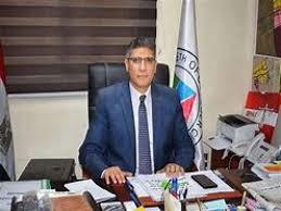 محافظ الجيزة: المشاركة الإيجابية فى الانتخابات تعكس الحرص على دعم التنمية