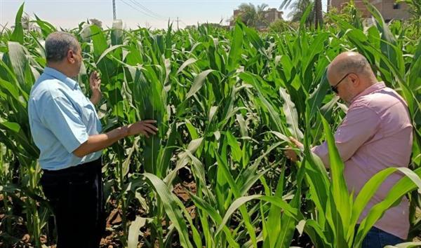 محافظ أسيوط: تقديم كافة أوجه الدعم للمزارعين