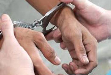 ضبط قائد سيارة ملاكي بالإسكندرية لتعريضه حياته والمواطنين للخطر