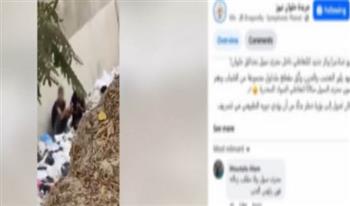   القبض على رجل وسيدتين تعاطا المخدرات فى أحد شوارع المعصرة