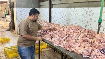  محافظة الجيزة : ضبط منتجات حيوانية فاسدة بكرداسة وبولاق وإمبابة وأكتوبر والعمرانية