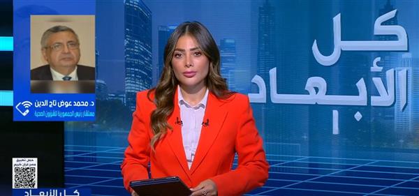 تاج الدين يوضح تفاصيل تطبيق التأمين الصحي الشامل على الأسر