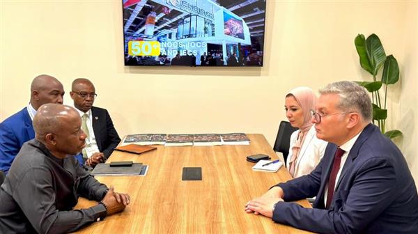 مباحثات بين مصر ونيجيريا لزيادة الاستثمارات المشتركة في الطاقة