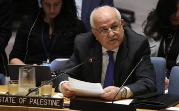  مندوب فلسطين بالأمم المتحدة: نطالب بوقف الإبادة الجماعية في غزة
