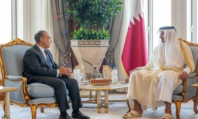وزير الخارجية ينقل رسالة تضامن من السيسي إلى أمير قطر بشأن العدوان الإسرائيلي السافر