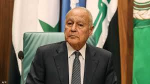 أبو الغيط يرحب باعتماد الأمم المتحدة لمشروع قرار حول حل الدولتين