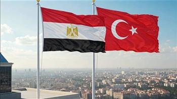   وزير الخارجية ونظيره التركي يؤكدان ضرورة الوقف الفوري للحرب الإسرائيلية على غزة