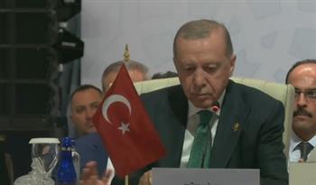   أردوغان يشيد بحكمة أمير قطر.. ويؤكد: حكومة نتنياهو تستهدف إبادة الفلسطينيين 