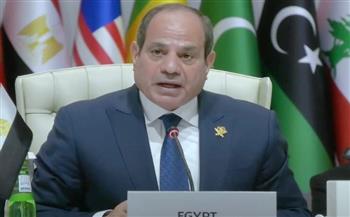   الوليلي: كلمة الرئيس السيسي تعكس ثوابت مصر ومكانتها في محيطها العربي والإسلامي