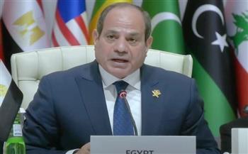 الوليلي: كلمة الرئيس السيسي تعكس ثوابت مصر ومكانتها في محيطها العربي والإسلامي