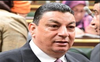   سامي نصر الله: القمة العربية غيّرت الخطاب العربي وأبرزت الموقف المصري