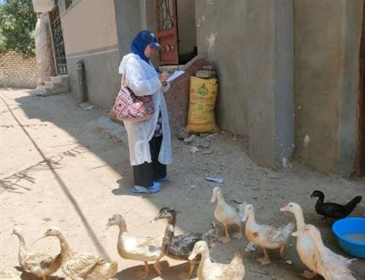 "الزراعة" تستقبل 748 بلاغًا عبر الخط الساخن للخدمات البيطرية