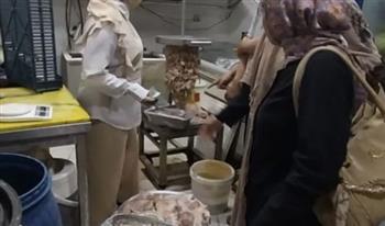 ضبط 9 أطنان دواجن غير صالحة في حملات بالدقهلية