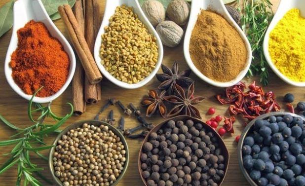 وهم العلاج بالأعشاب: كيف يستغل الدجالون لغة العلم لخداع المرضى؟