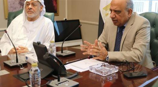 وزير الكهرباء يبحث توسع تخزين الطاقة مع "إيميا باور"
