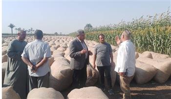   أسيوط: دعم الفلاح وتحسين جودة القطن