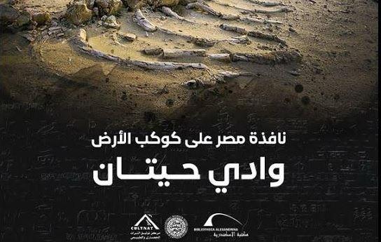 "وادي الحيتان": رحلة عبر ملايين السنين تكشفها مكتبة الإسكندرية