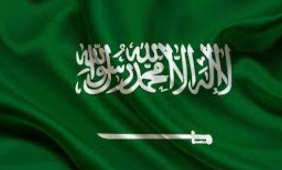السعودية تشارك في قمة شباب الأعمال العشرين بجنوب أفريقيا