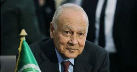 أبو الغيط: مؤتمر حل الدولتين إنقاذ لإنسانيتنا من شريعة الغاب