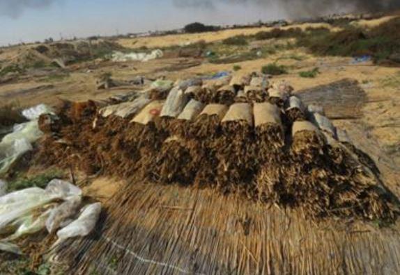 في ضربة أمنية حاسمة .. ضبط كميات كبيرة من المواد المخدرة بالإسماعيلية