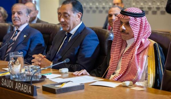 بمشاركة مصرية سعودية .. دول القمة متعددة الأطراف يطالبون بوقف فوري لإطلاق النار في غزة
