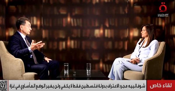 السفير الفرنسي لدى مصر : الاعتراف بدولة فلسطين فقط لا يكفي ولن يغير الوضع المأساوي في غزة