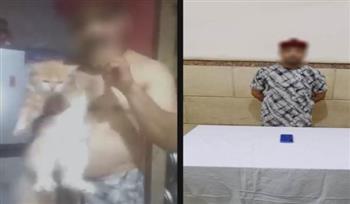  ضبط متهم بإيذاء الحيوانات تحت ذريعة علاج السكري