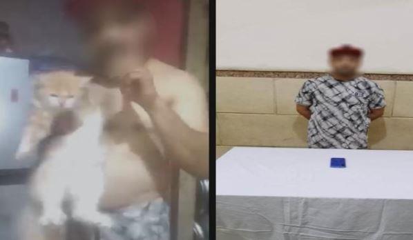 ضبط متهم بإيذاء الحيوانات تحت ذريعة علاج السكري