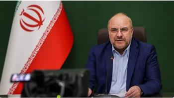   رئيس البرلمان الإيراني: بلادنا غير ملزمة بتنفيذ قرارات دولية "غير قانونية"