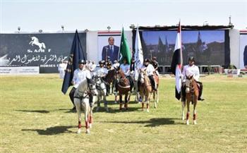  انطلاق مهرجان الخيول العربية بالشرقية أكتوبر المقبل