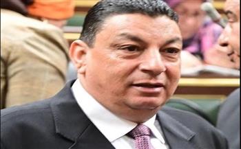   سامي نصر الله: كلمة مصر  بالأمم المتحدة جسدت الثوابت المصرية تجاه فلسطين